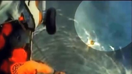 Megalodon real captado en video. Los 5 más reales.