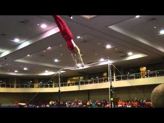 Allan Bower -  High Bar  - 2014 Winter Cup Prelims