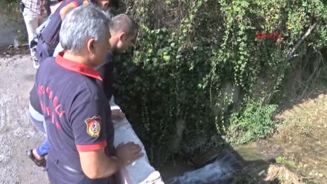 Kocaeli Dereye Düşerek Ayağı Kırılan Köpeği İtfaiye Kurtardı