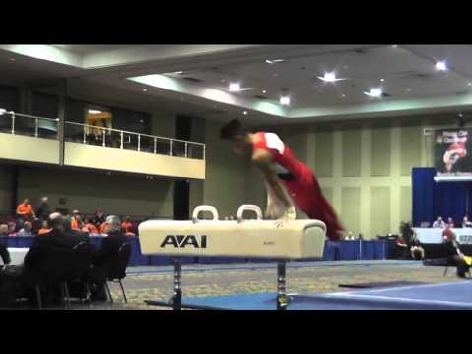 Yul Moldauer - Pommel Horse - 2014 Winter Cup Challenge Prelims