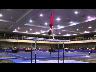 Allan Bower -  Parallel Bars  - 2014 Winter Cup Prelims