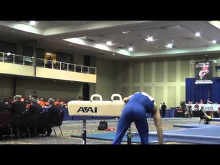 Danell Leyva - Pommel Horse - 2014 Winter Cup Challenge Prelims