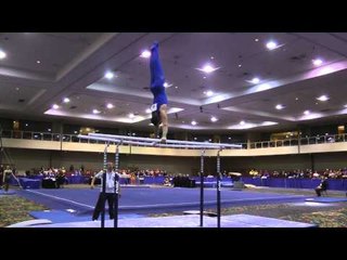 Danell Leyva -  Parallel Bars  - 2014 Winter Cup Prelims