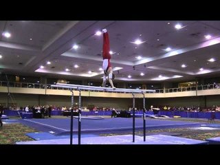 Cameron Bock -  Parallel Bars  - 2014 Winter Cup Prelims