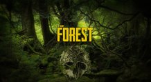 The Forest - Os Sobreviventes (Parte 1)