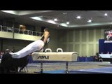 Stacey Ervin - Pommel Horse - 2014 Winter Cup Challenge Prelims