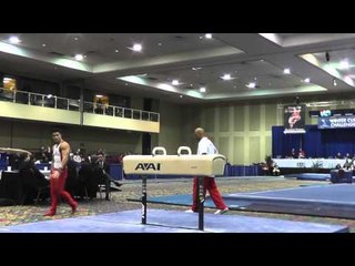 Sean Melton - Pommel Horse - 2014 Winter Cup Challenge Prelims