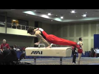 Dmitri Belanovski - Pommel Horse - 2014 Winter Cup Challenge Prelims