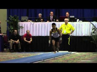 Adrian de los Angeles - Vault - 2014 Winter Cup Challenge Finals