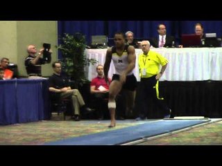 Stacey Ervin - Vault - 2014 Winter Cup Challenge Finals
