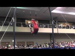 Joshua Dixon - Still Rings - 2014 Winter Cup Challenge Finals