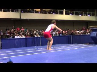 Allan Bower - Vault - 2014 Winter Cup Challenge Finals