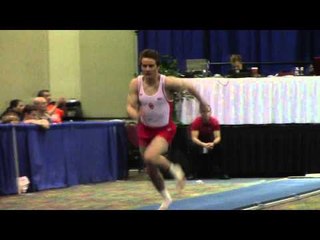 Alex Powarzynski - Vault - 2014 Winter Cup Challenge Finals
