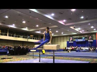 Chris Brooks - Pommel Horse - 2014 Winter Cup Challenge Finals