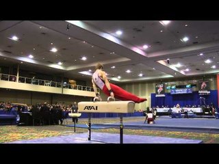 Allan Bower - Pommel Horse - 2014 Winter Cup Challenge Finals