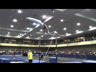Stacey Ervin - High Bar - 2014 Winter Cup Challenge Finals