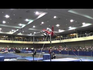 Donnell Whittenburg - High Bar - 2014 Winter Cup Challenge Finals
