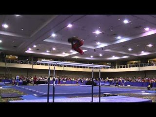 Donnell Whittenburg - Parallel Bars - 2014 Winter Cup Challenge Finals