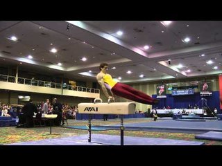 Ellis Mannon - Pommel Horse - 2014 Winter Cup Challenge Finals