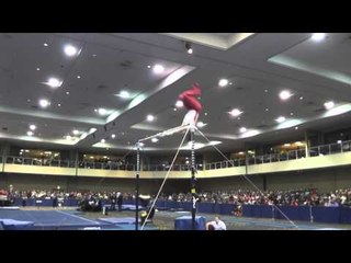 Allan Bower - High Bar - 2014 Winter Cup Challenge Finals