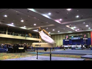 Stacey Ervin - Pommel Horse - 2014 Winter Cup Challenge Finals