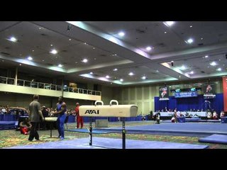 John Orozco - Pommel Horse - 2014 Winter Cup Challenge Finals