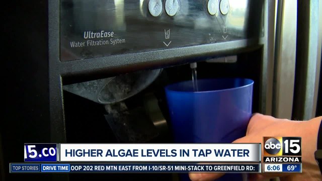 Tempe residents complain of smelly water; officials say algae is to blame