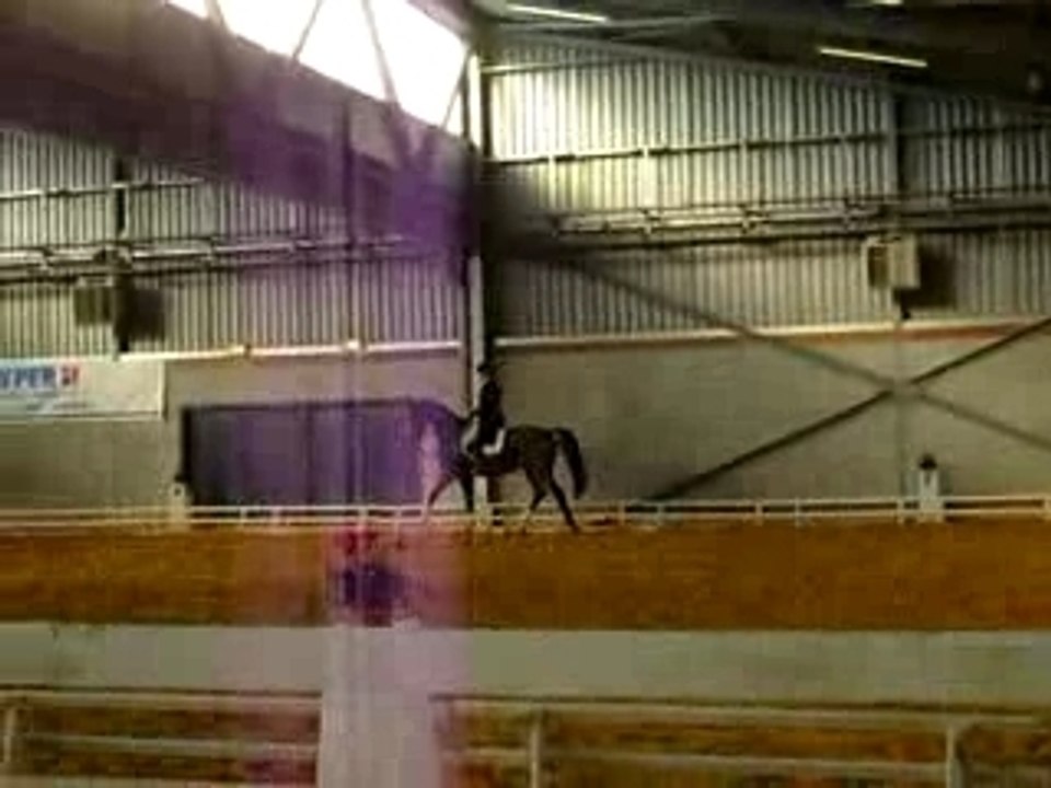 Salon dressage allongement