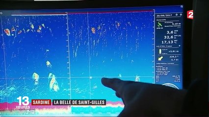 Vendée : la sardine, la belle de Saint-Gilles