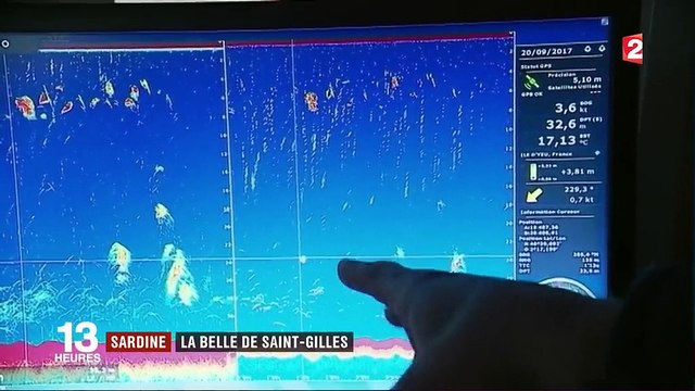 Vendée : la sardine, la belle de Saint-Gilles