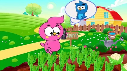 Birds Family Bodybuilders Full Episodes Cartoon Animation Nursery Rhymes