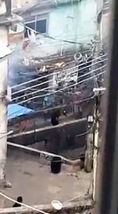 Fusillade entre des membres d'un gang et la police dans une favela de Rio de Janeiro