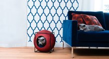 Déco insolite : du mobilier design et élégant pour votre chat !