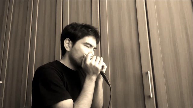 Super Mario Bros Theme - Diatonic Harmonica - Mizuho Ota