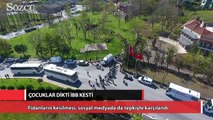 İstanbul Büyükşehir Belediyesi, çocukların diktiği barış fidanlarını kesti