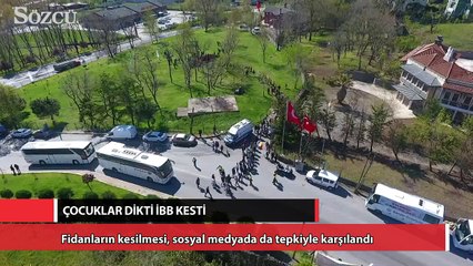 İstanbul Büyükşehir Belediyesi, çocukların diktiği barış fidanlarını kesti