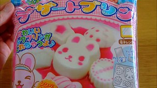 Milk pudding microwave oven cooking sweets デザートプリン 電子レンジ