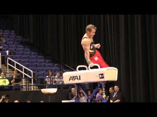 Fabian Hambuechen - Pommel Horse - 2014 AT&T American Cup