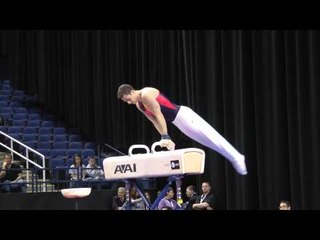 Fabian Gonzalez - Pommel Horse - 2014 AT&T American Cup