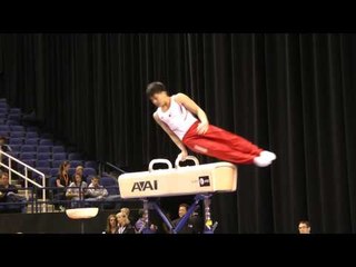 Shogo Nonomura - Pommel Horse - 2014 AT&T American Cup