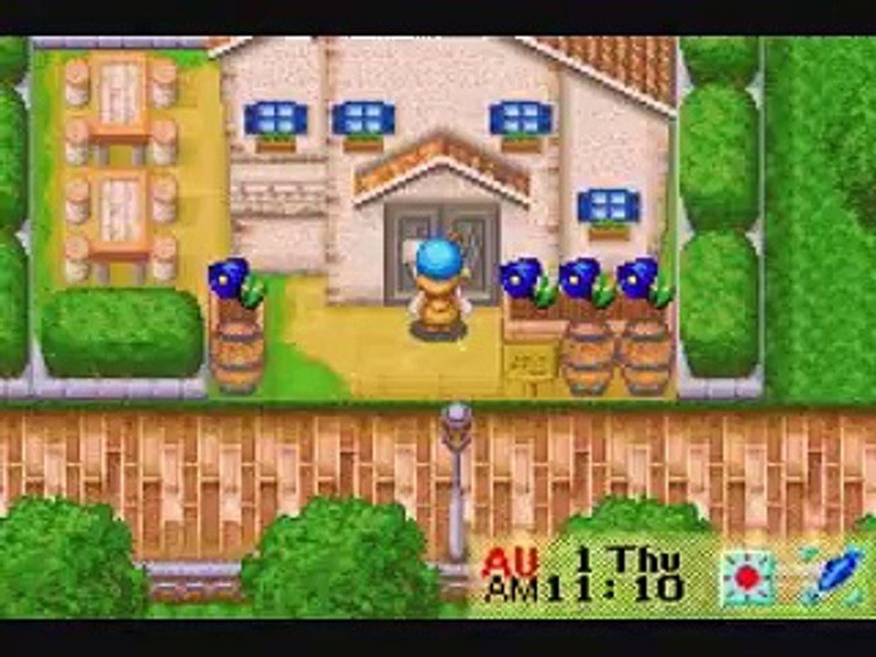 Harvest Moon friends of Mineral town Ann all events but the marriage of hearts