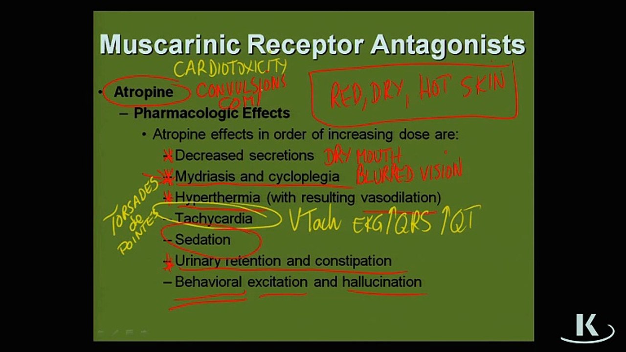 Pharmcology Sistema Autónomo Chapter 2 Part 3 Muscarinic Receptors Antagonist