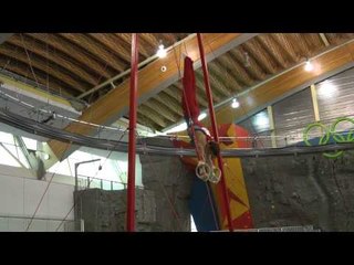 Marty Strech - Still Rings - 2014 Pacific Rim Championships Team/AA Final