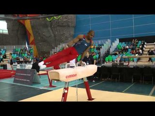 John Orozco - Pommel Horse - 2014 Pacific Rim Championships Team/AA Final