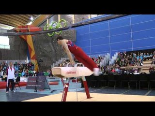 Alec Yoder - Pommel Horse - 2014 Pacific Rim Championships Event Finals