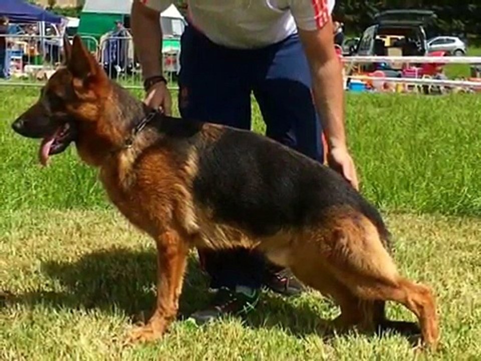 lennox lewis - Lifestyle,Net worth,cars,houses,Family,Biography and all Information