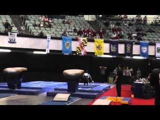 Marvin Kimble - Vault - 2014 Men's Junior Olympic National Championships