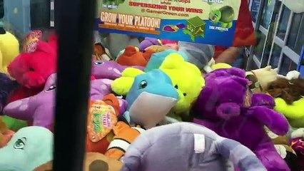 4 EPIC THE SECRET LIFE OF PETS CLAW MACHINE WINS!