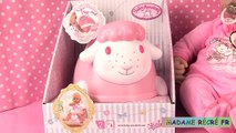 Poupée Baby Annabell Pot et Coffret daccessoires Repas et Change Baby Doll Potty Time Set