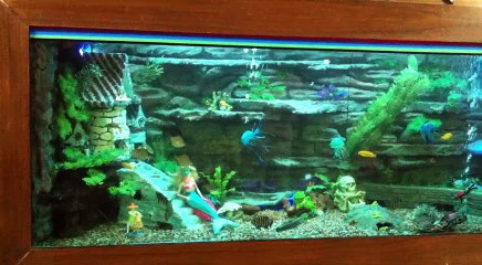 The 3D Aquarium